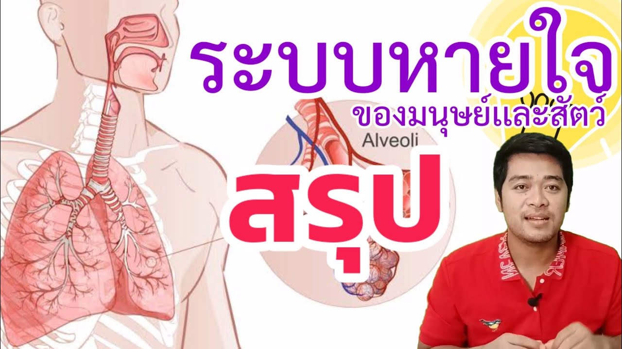 ระบบหายใจของมนุษย์เเละสัตว์ | ระบบร่างกาย | วิทย์พื้นฐาน ม.2