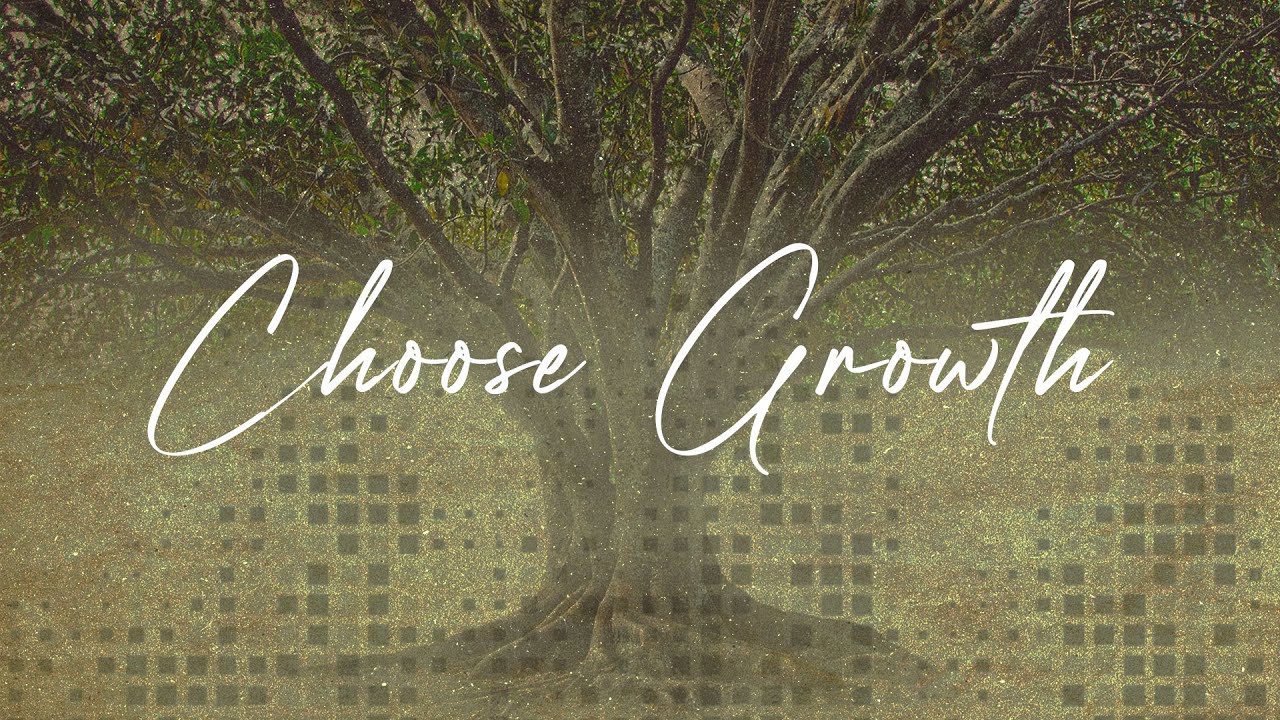 You Need a Seed | Craig Jones | Abiding Church | 1-18-26