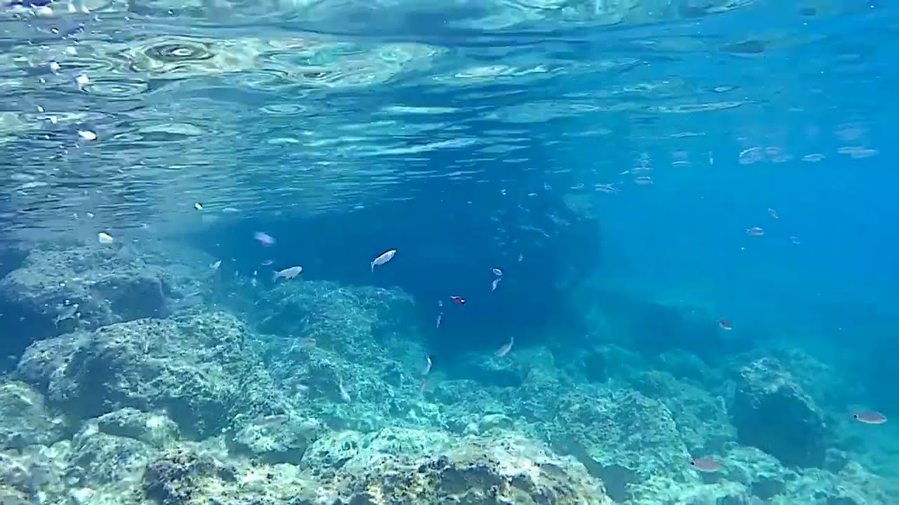 Documentario sui pesci in Puglia - EP.01 - Il mare Ionio