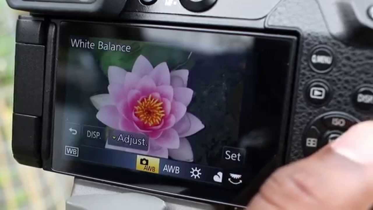 Panasonic GX8 Camera Review
