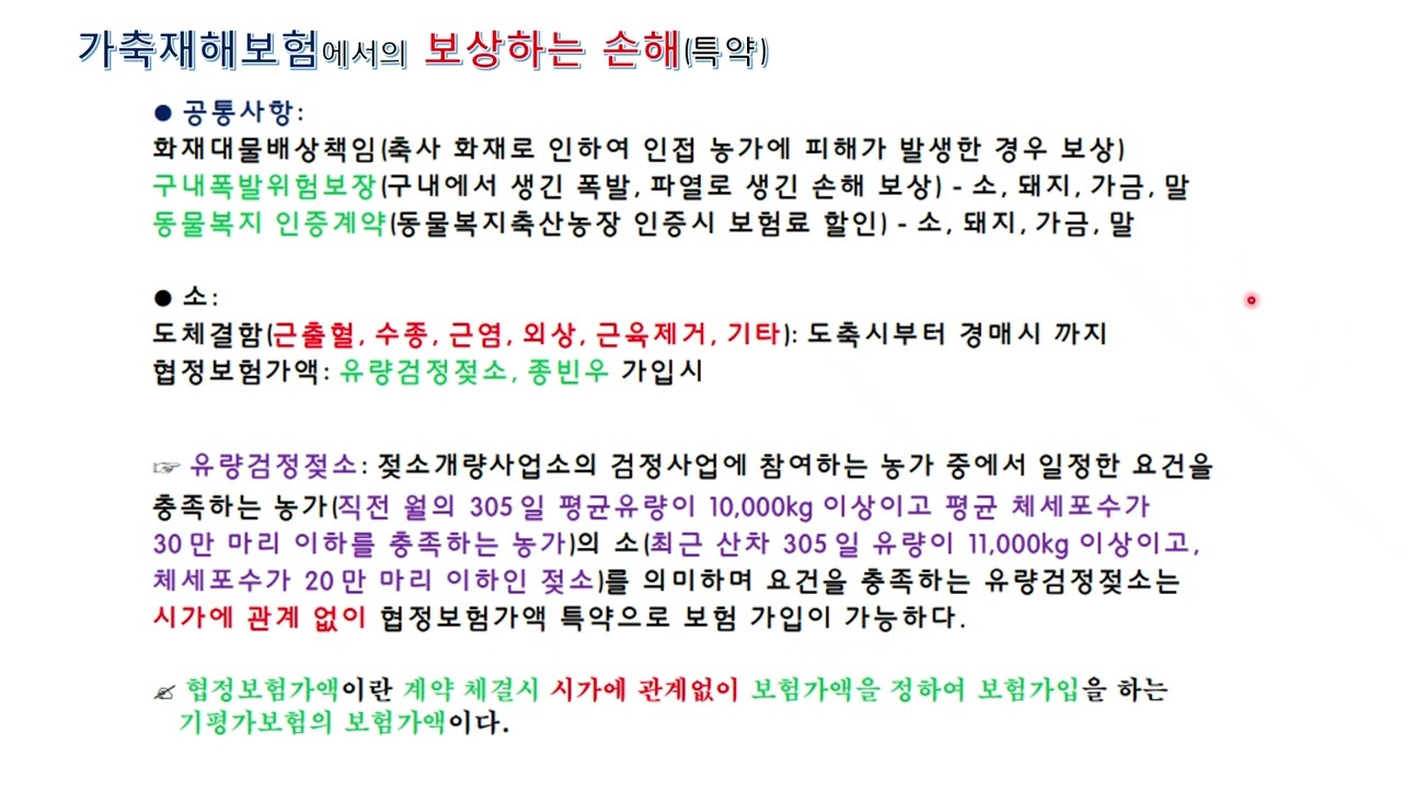 손해평가사 2차 가축재해보험 1 - 4강 보상하는 손해(특약)