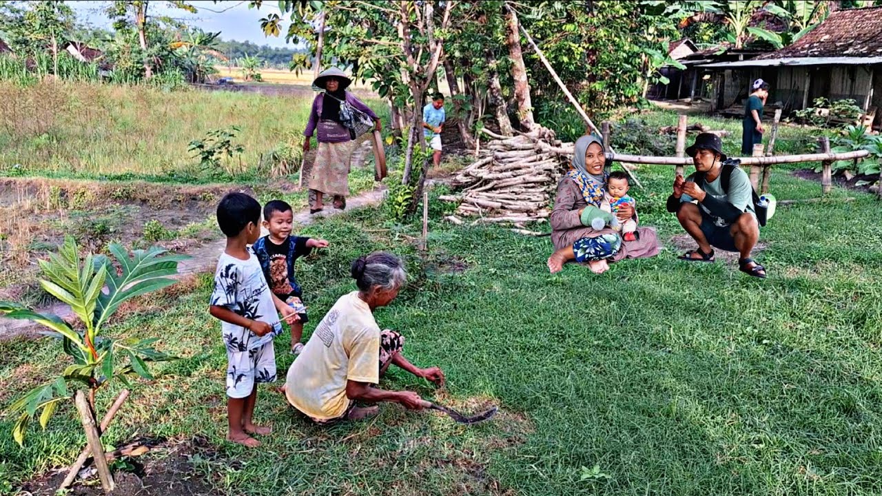 Rumah-Rumah Kono Di Tengah Sawah‼️Sebuah Pemandangan Desa Kuno,Tersembunyi,Bikin Iri Orang Kota