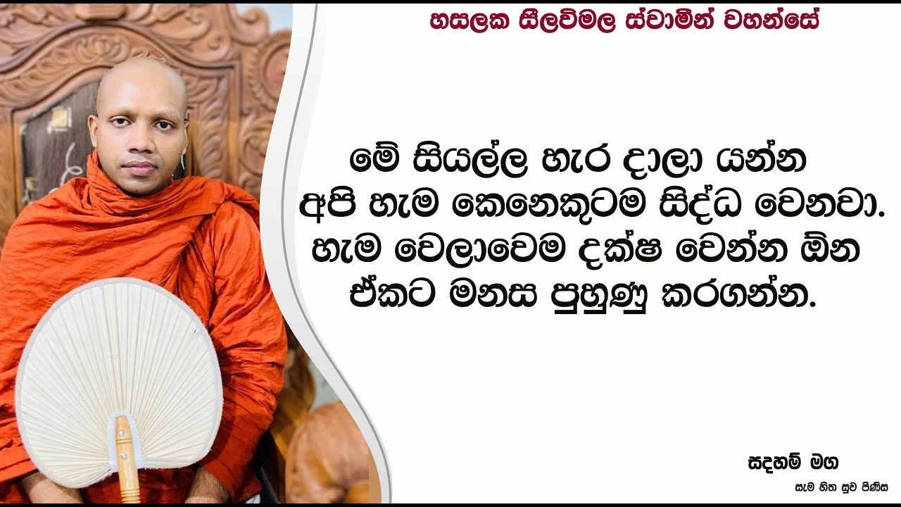 දක්ෂ වෙන්න ඕන මනස පුහුණු කරගන්න.2455Ven Hasalaka Seelawimala Thero