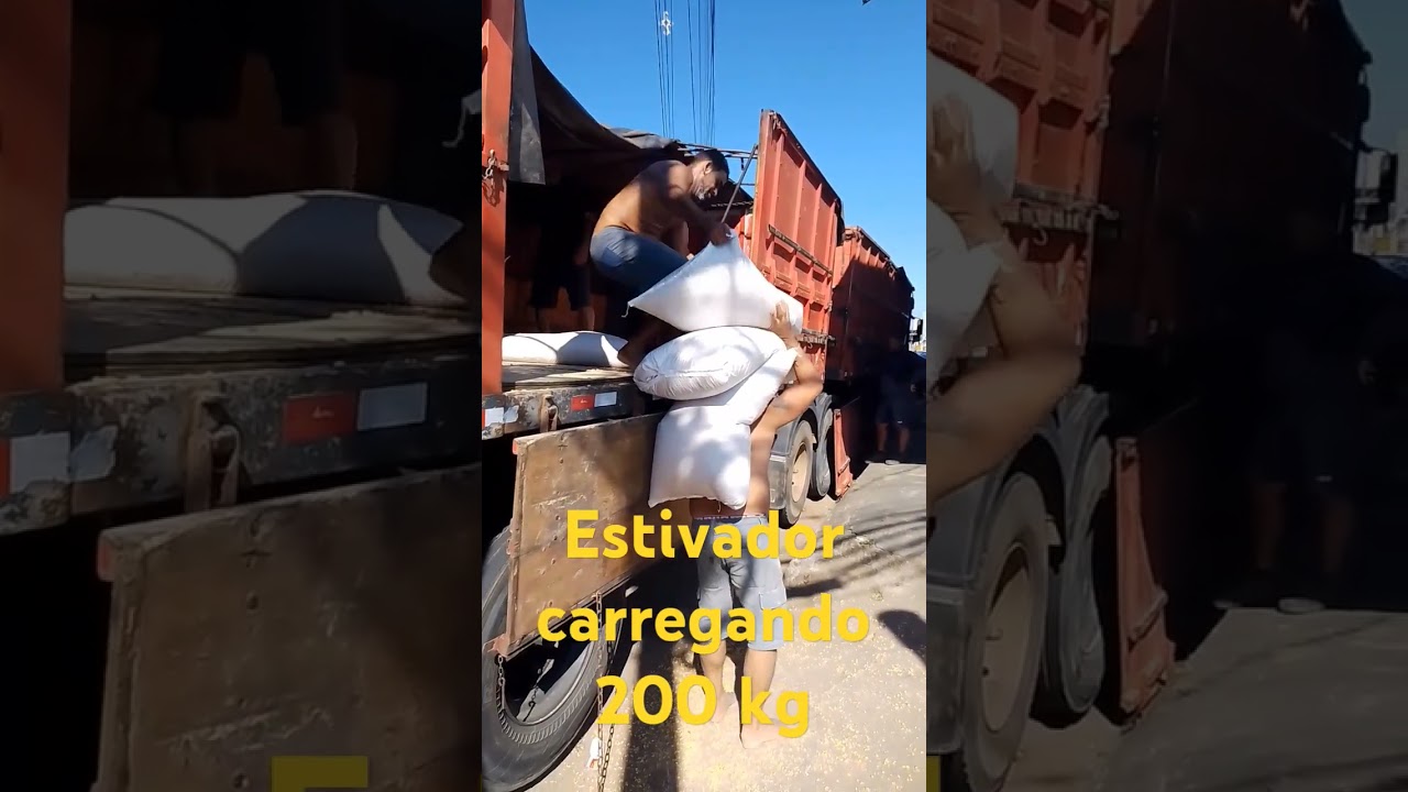 descarga de milho, ra&ccedil;&atilde;o e quirela #shorts