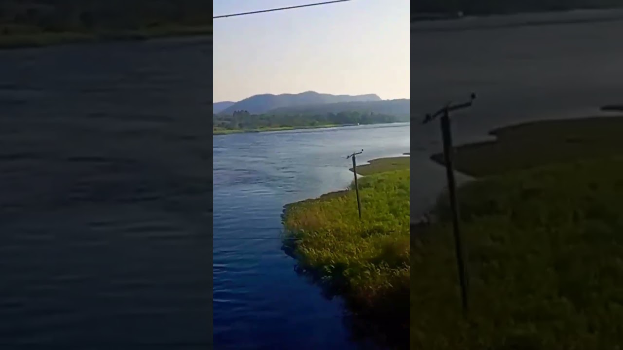Kafue River Shorts #trending #trendingnow #amuzing #africa #mustwatch #zambia #riverside