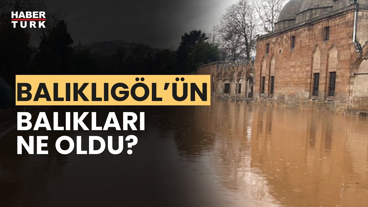 Selin ardından Şanlıurfa'da son durum ne? Gizem Türemen aktardı