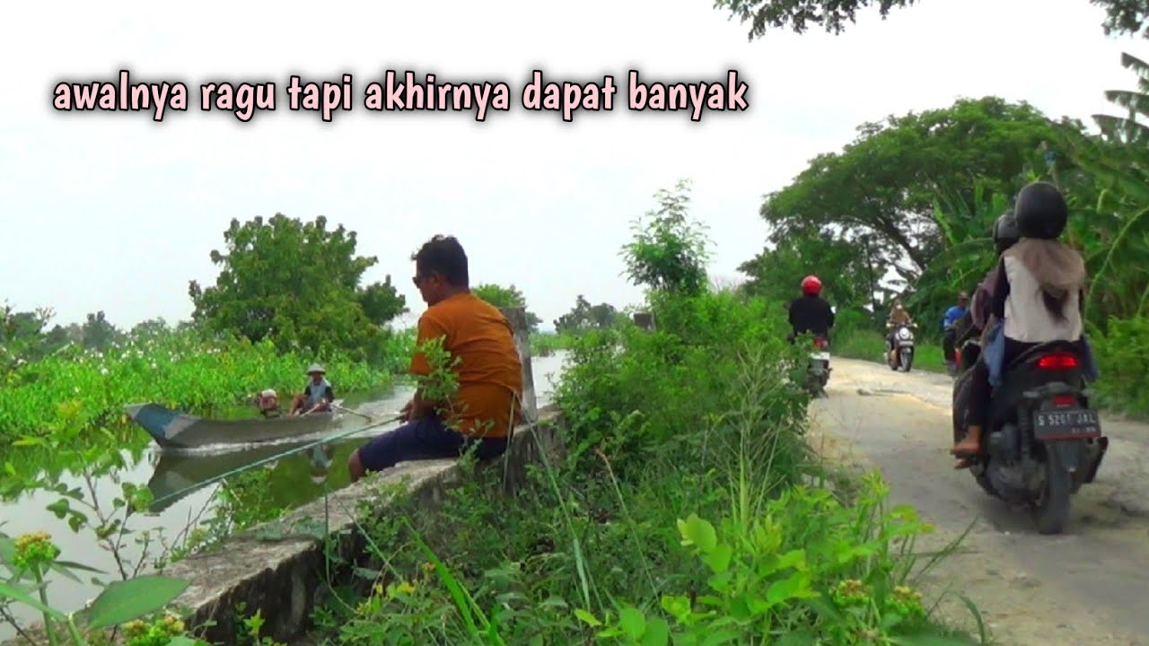 Mancing ikan mas banjiran di lamongan Jawa Timur