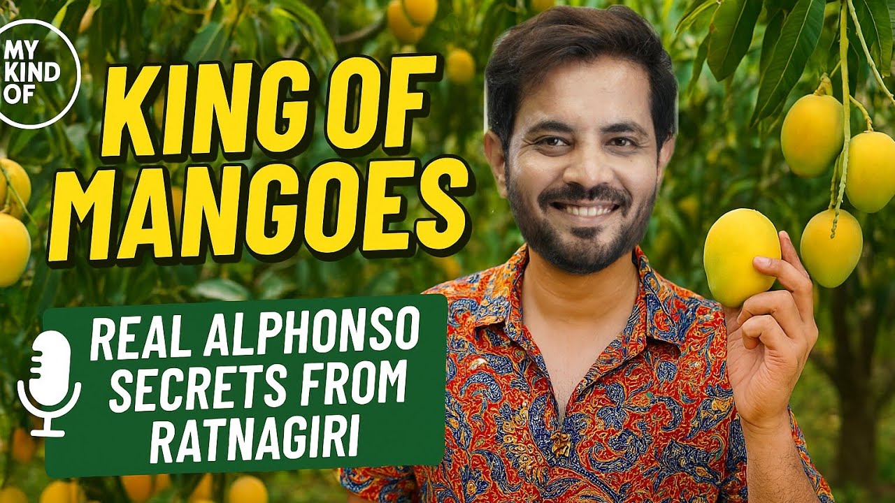 King of Mangoes: Aamchi Ratnagiri’s Alphonso Secrets | Mohsin at the Mango Farm
