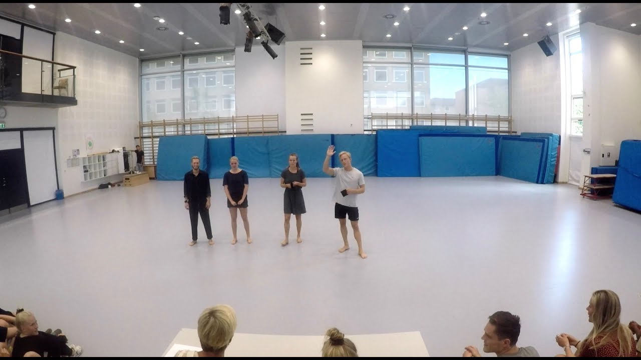 Danseeksamen i bev&aelig;gelseskommunikation, AU Idr&aelig;t 2018 (Forskelligskabet)