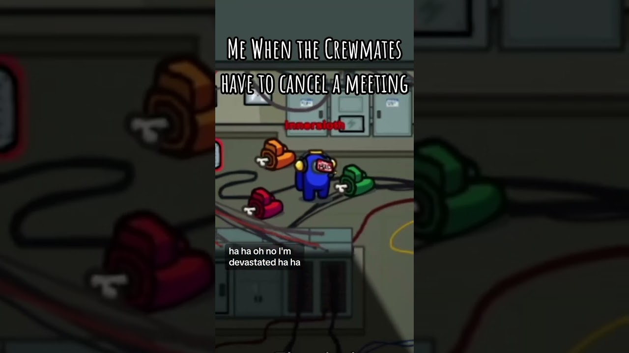 Now I can skip the Emergency Meeting 😌