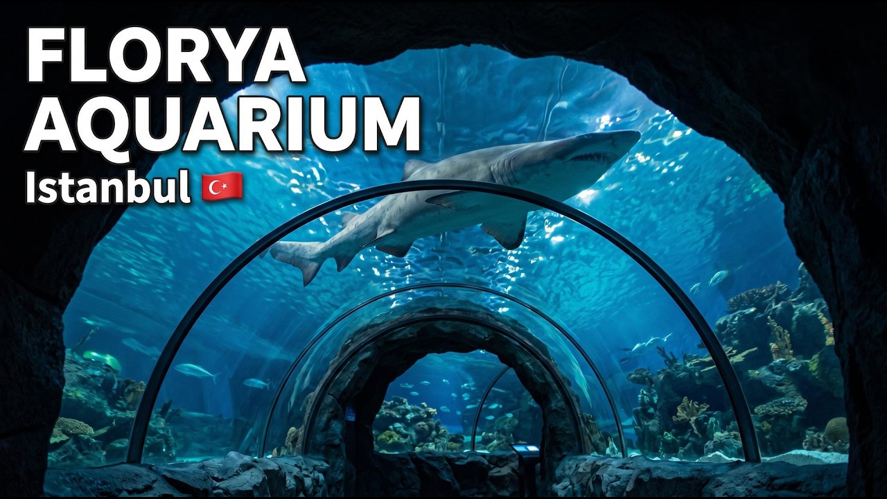 Florya Aquarium, Istanbul