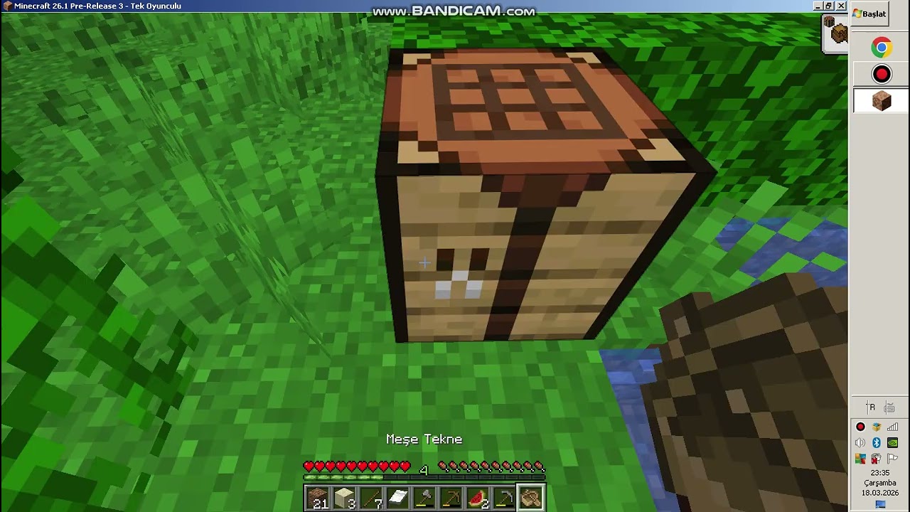 minecraft ta hayatta kalma serisi part1