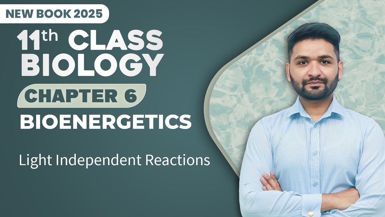 11th Class Biology Chapter 6 | Light Independent Reactions | Class 11th Biology New Book 2025