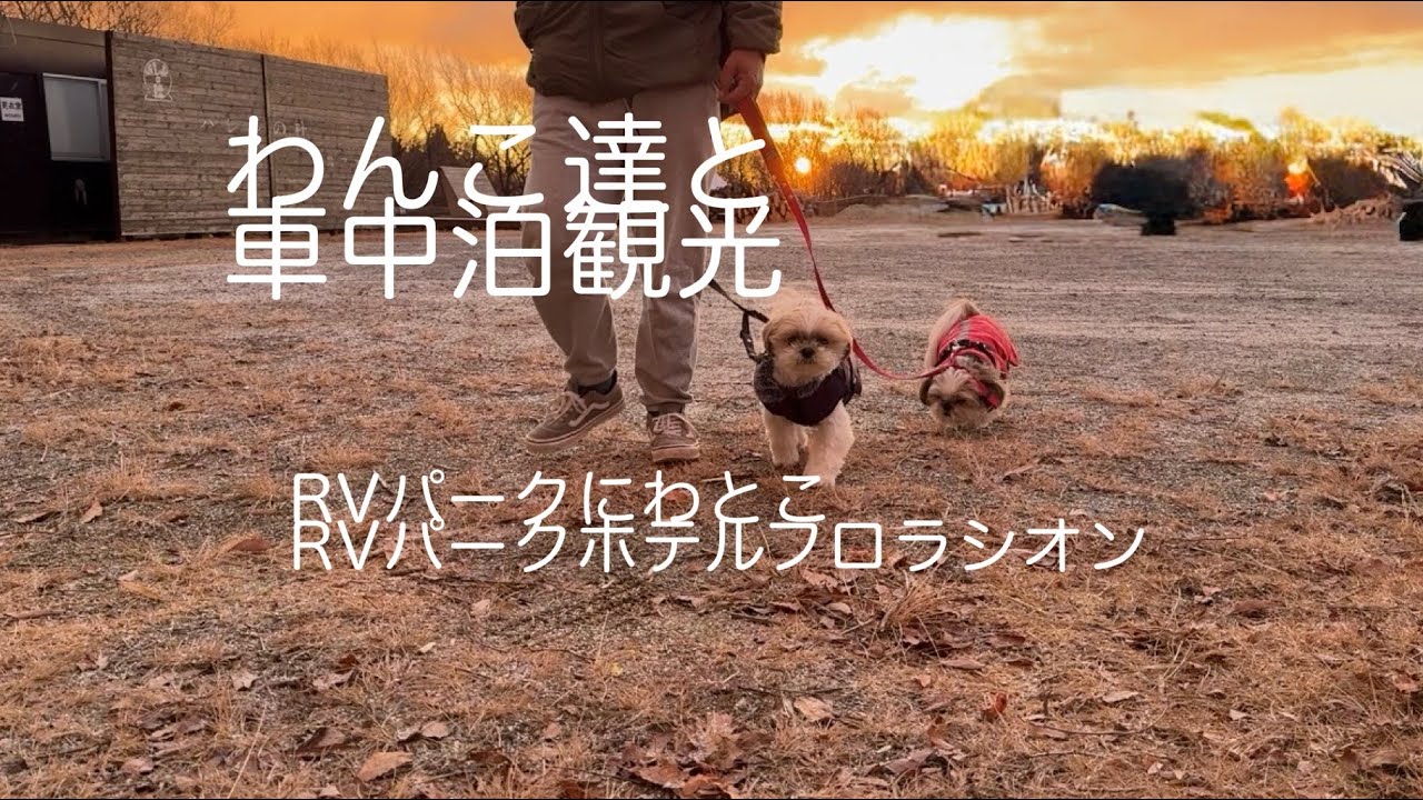 わんこ達と車中泊観光　RVパークにわとことRVパーク那須フロラシオン