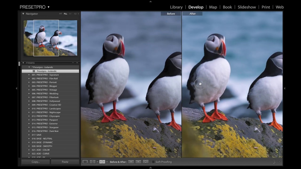 BEST FREE  Presets  Lightroom