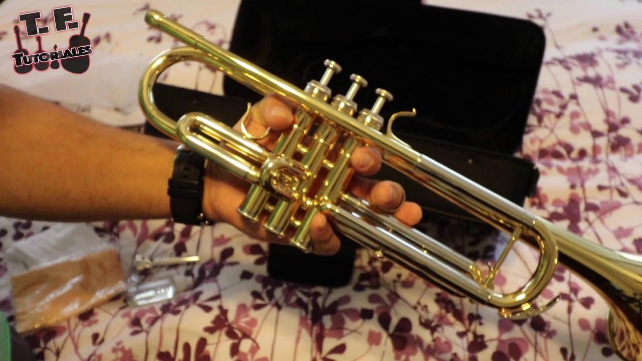 $179 Jean Paul Trumpet Review