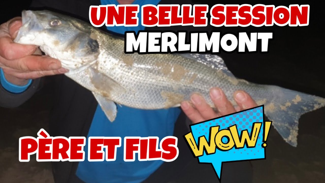 PÊCHE ENTRE PÈRE ET FILS, DU FISH ET DU BEAU TEMPS À MERLIMONT 🎣 #peche #surfcasting #pecheenmer