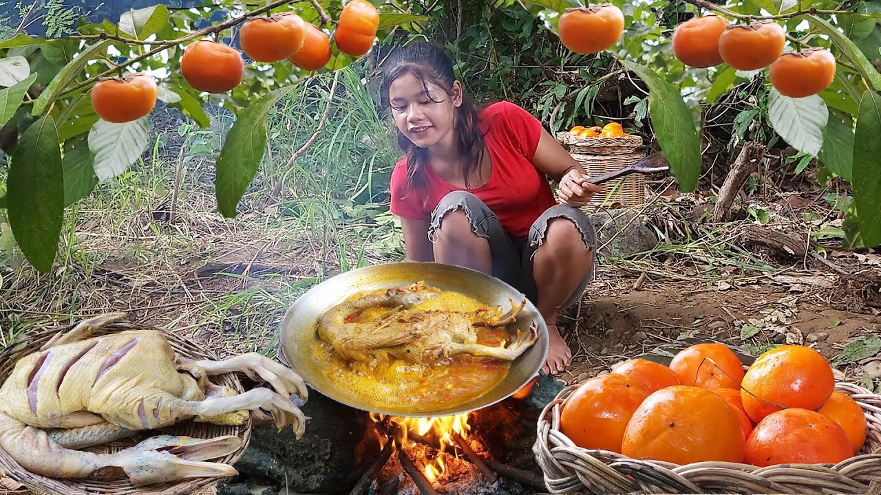 Duck curry spicy and Pick wild persimmon fruit - Survival solo in jungle
