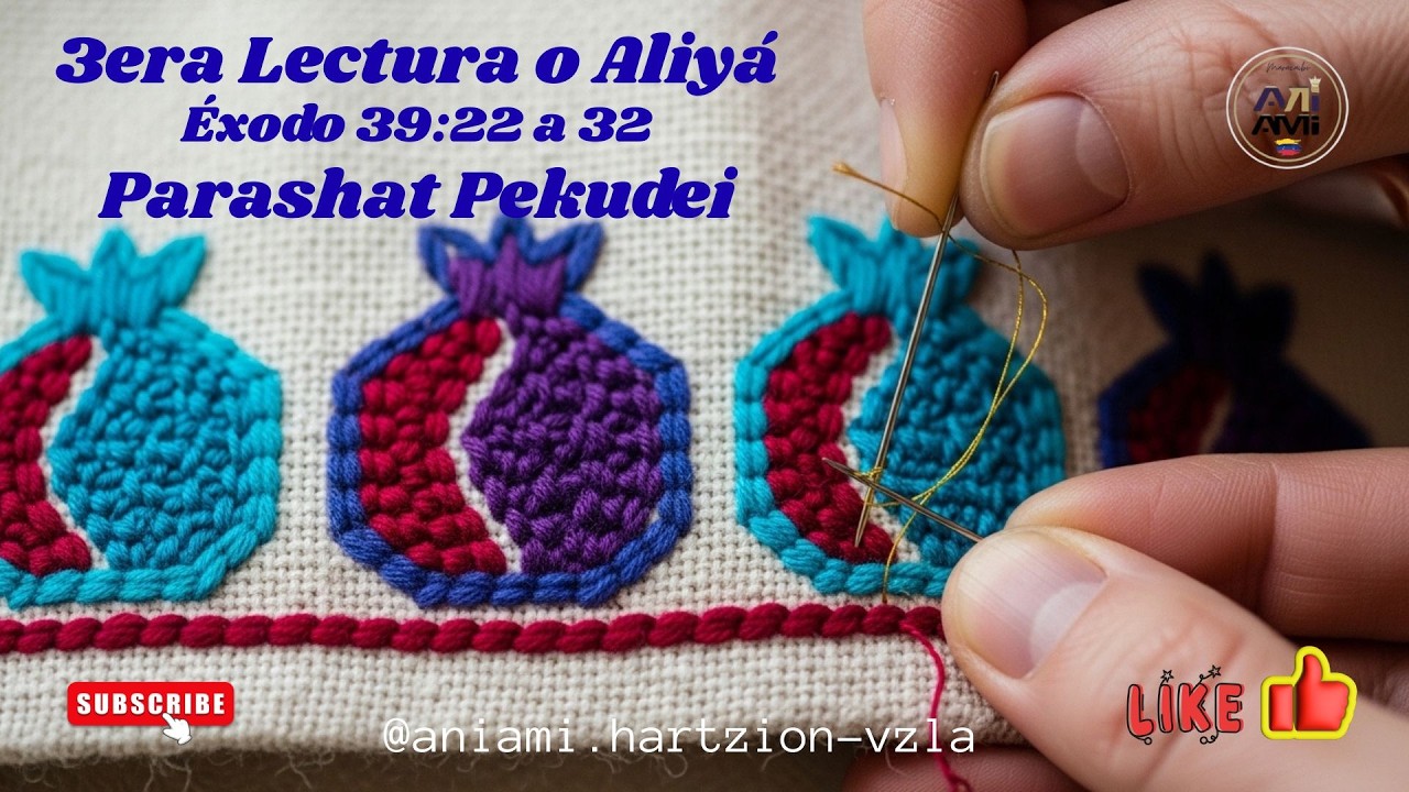 Lectura de la 3era Aliyá, porción de la parashat Pekudei #parasha #tora #israel #aniami #pekudei