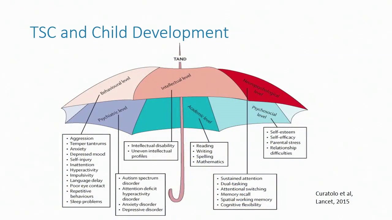TSC and child development - Dr Rebecca Mitchell