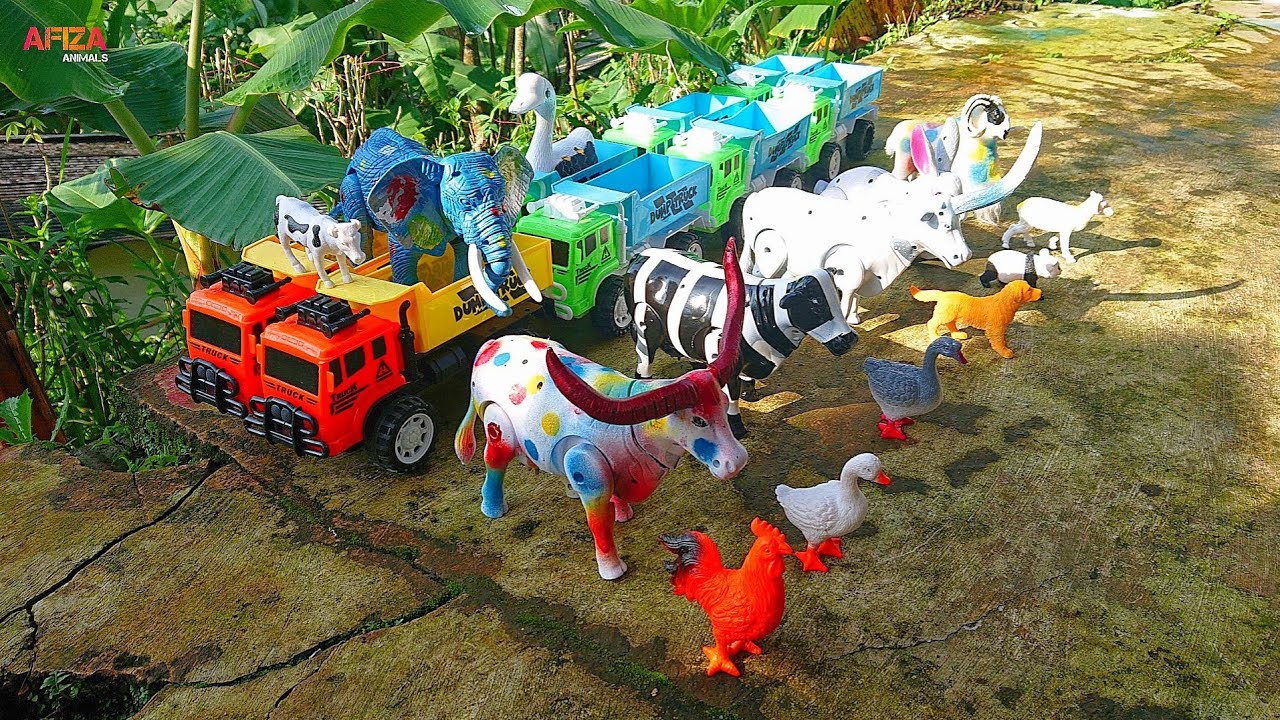 Truk Gandeng Angkut Sapi Sapi Lucu Sapi Moo Kerbau Gajah Buaya Ayam Burung Shark Bebek
