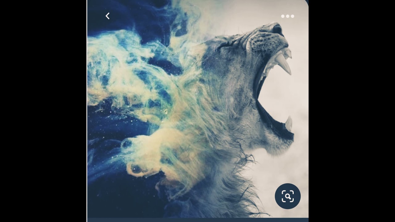 el leon de la tribu de juda❤❤