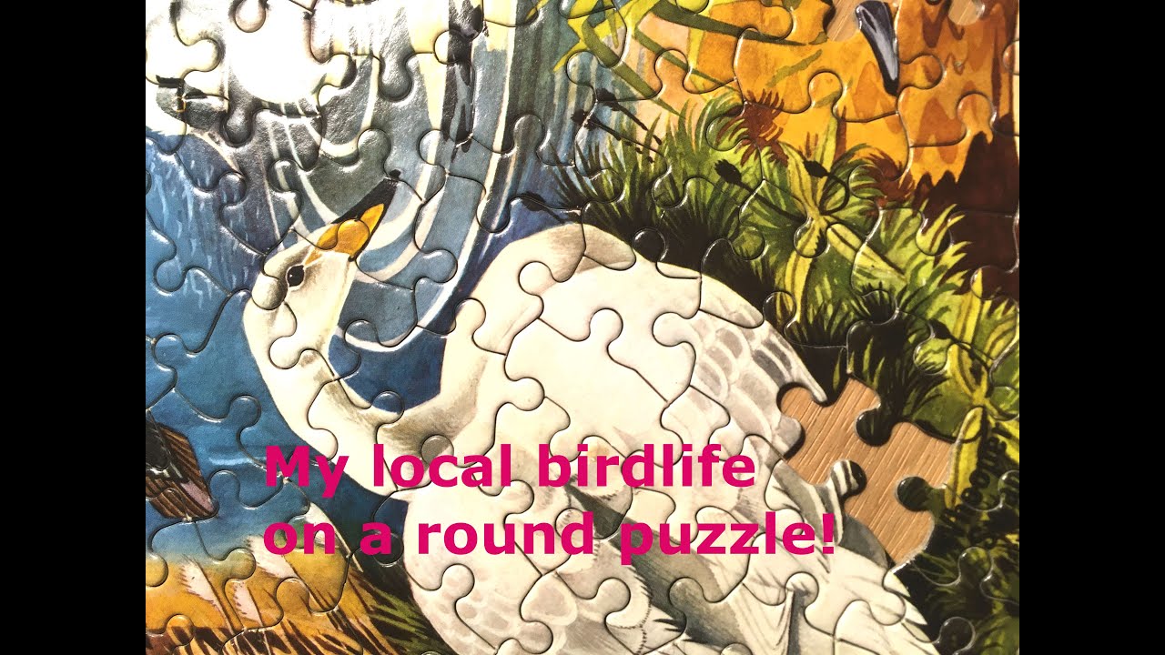 Vintage puzzle Wildfowl by Waddington (1972)