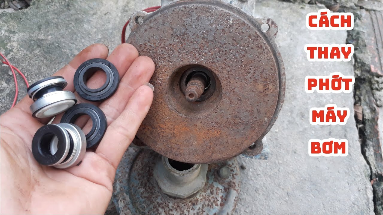 Cách thay phớt máy bơm nước