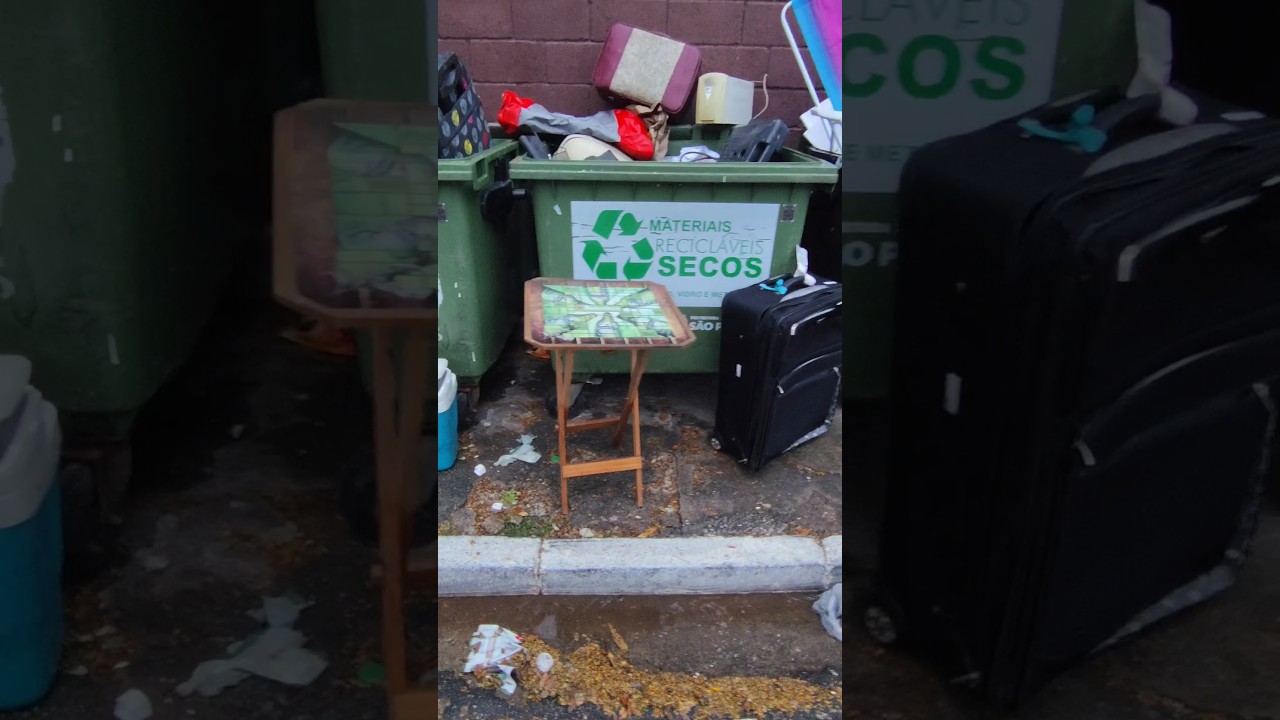 Ca&ccedil;ada no condom&iacute;nio #youtubeshorts #viralvideo #dumpsterdiving #reciclagem #brasil