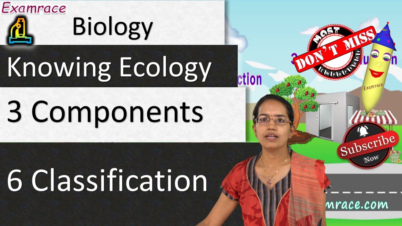 Knowing Ecology - Its 3 Components & 6 Classification of Ecosystem