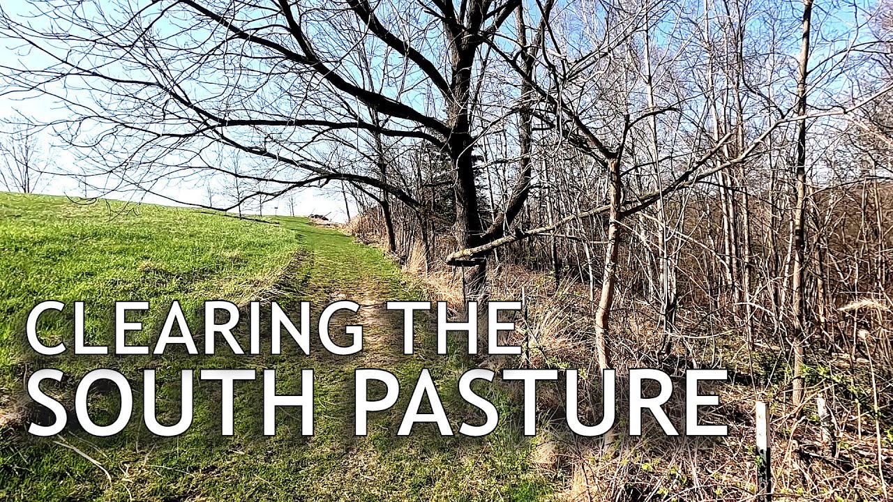 Clearing the Margins of the South Pasture
