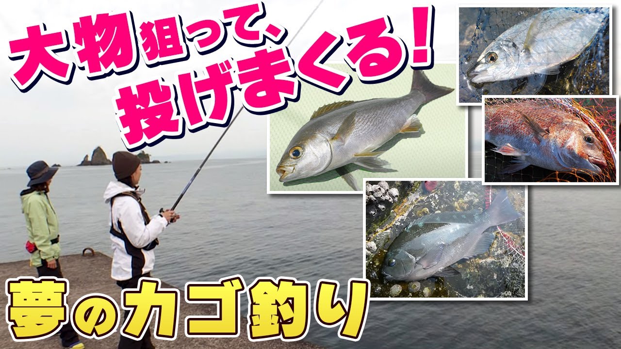 GO!GO!九ちゃんフィッシング #477　「田子沖堤防で夢のカゴ釣り！（前篇） 狙えマダイ・イサキ・シマアジ・メジナ？」