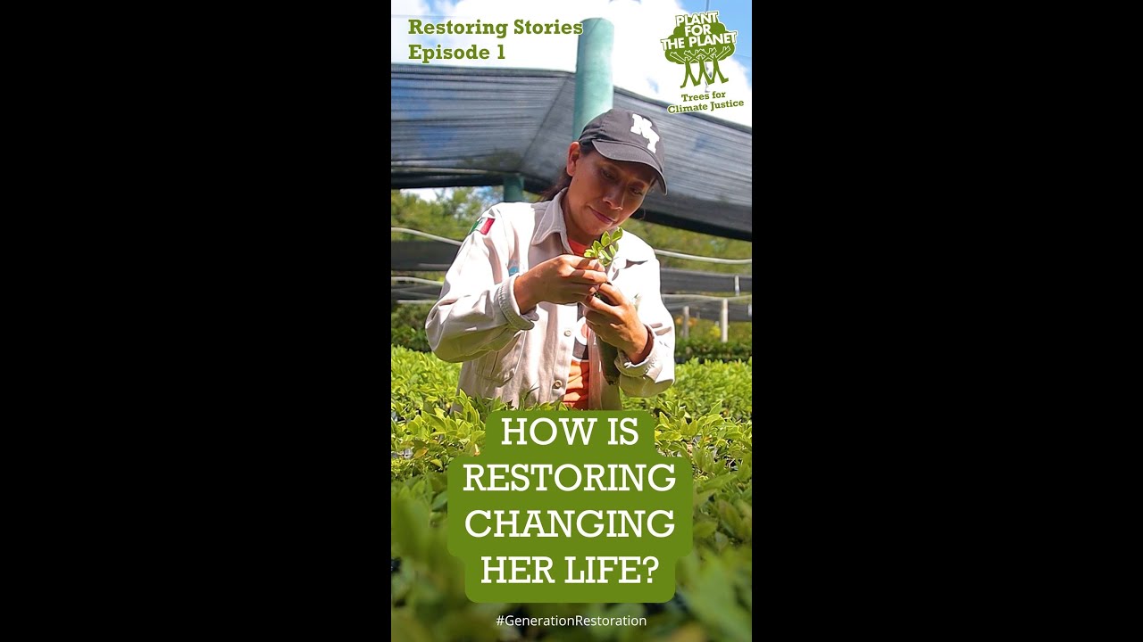 Restoring Stories - Episode 1 🌱
