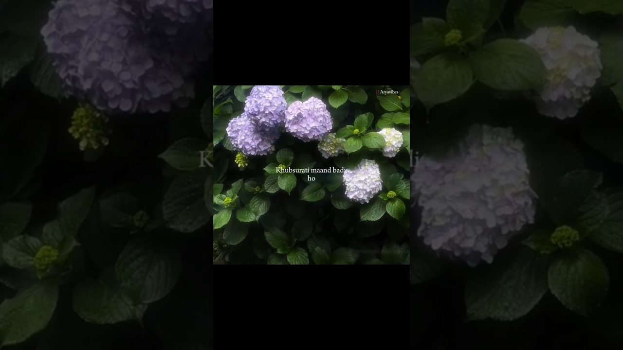 Paar&zwj;o X Maand ❤🤌 | Aesthetic Lyrics Video #shorts #song #lyrics