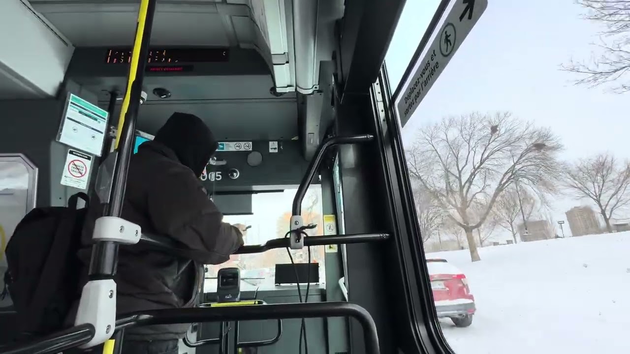 Riding 37E Jolicoeur (#40-065)