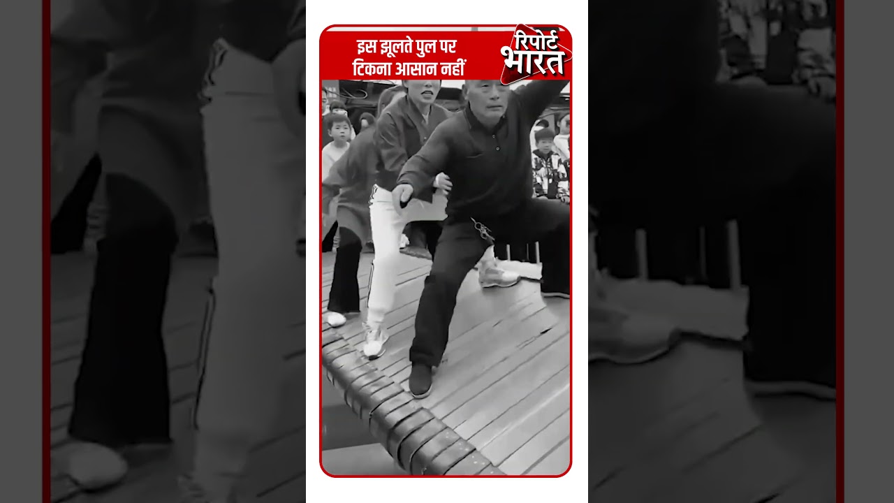 The most Funny Swinging Bridge Balance Game #Swinging #Bridge | Report Bharat