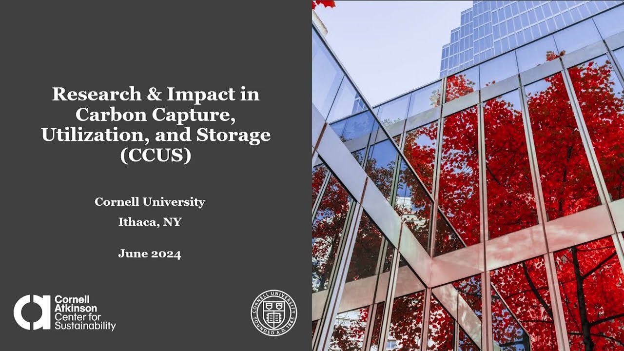 Research and Impact in Carbon Capture, Utilization, and Storage