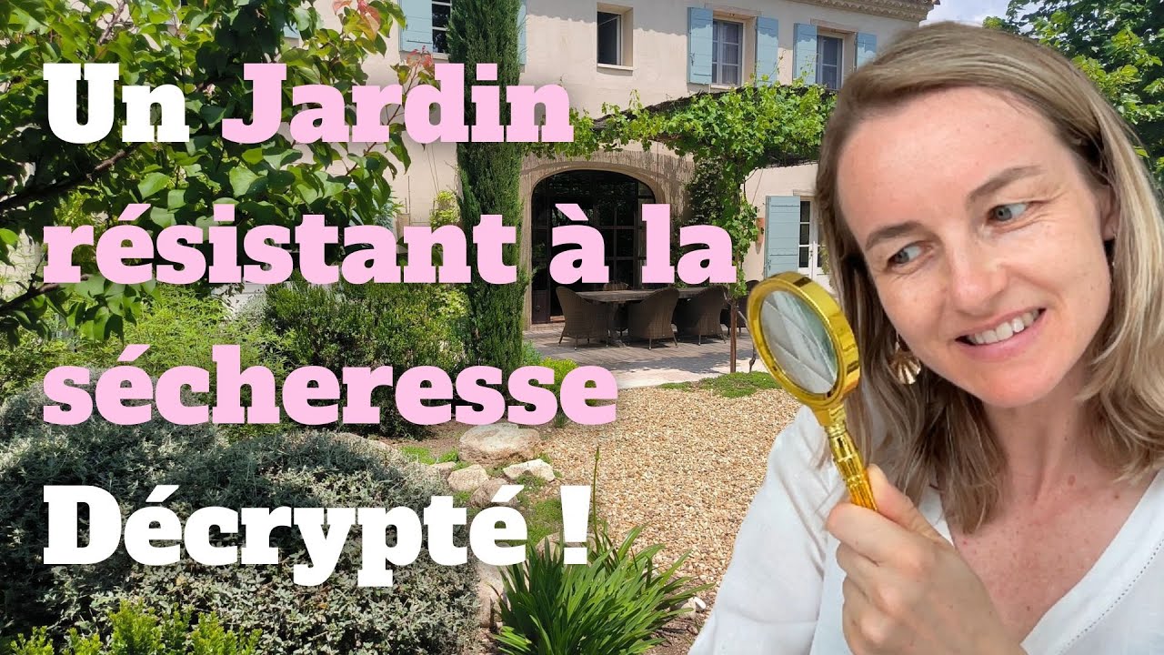 Un jardin résistant à la sécheresse décrypté