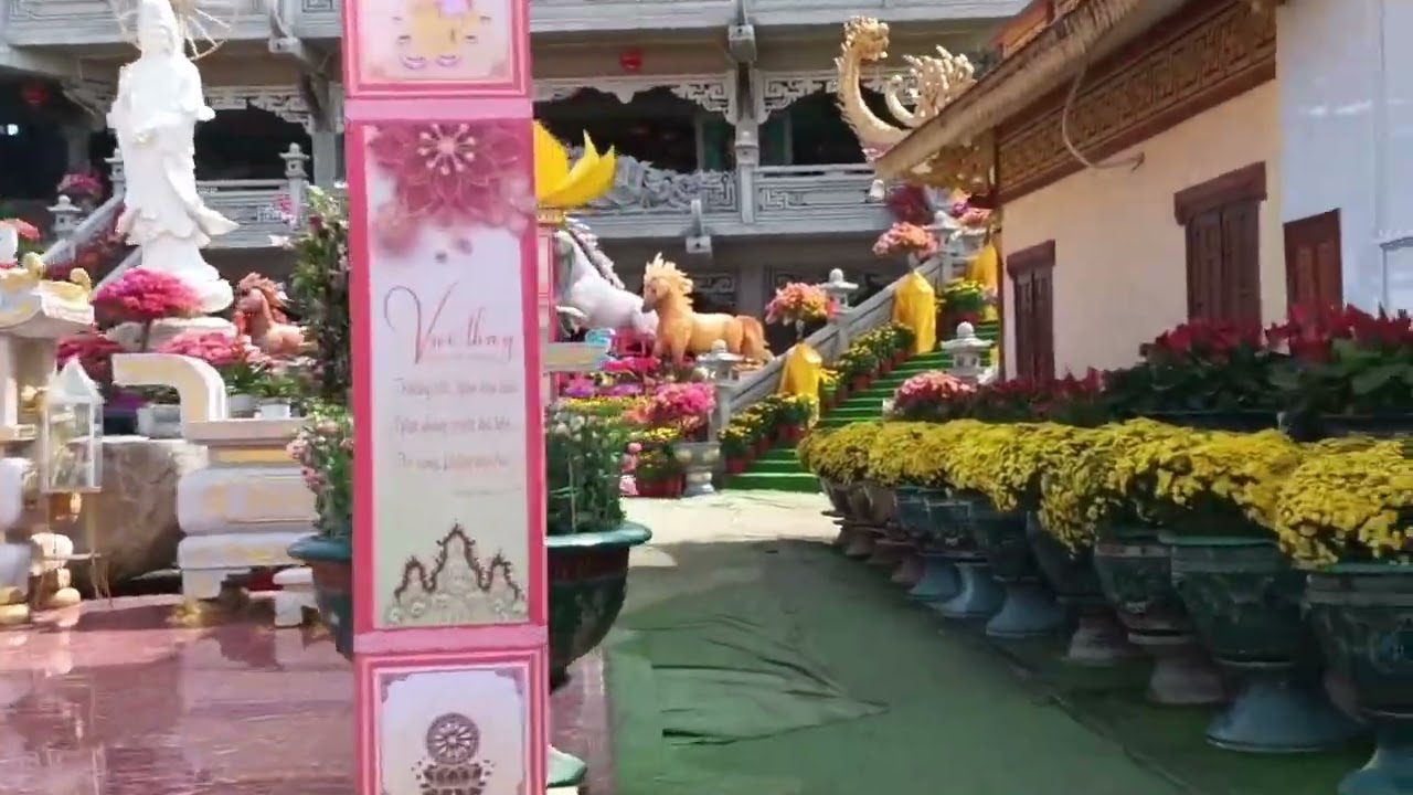 Tập 16: Chuối chín cây (26/12/25)