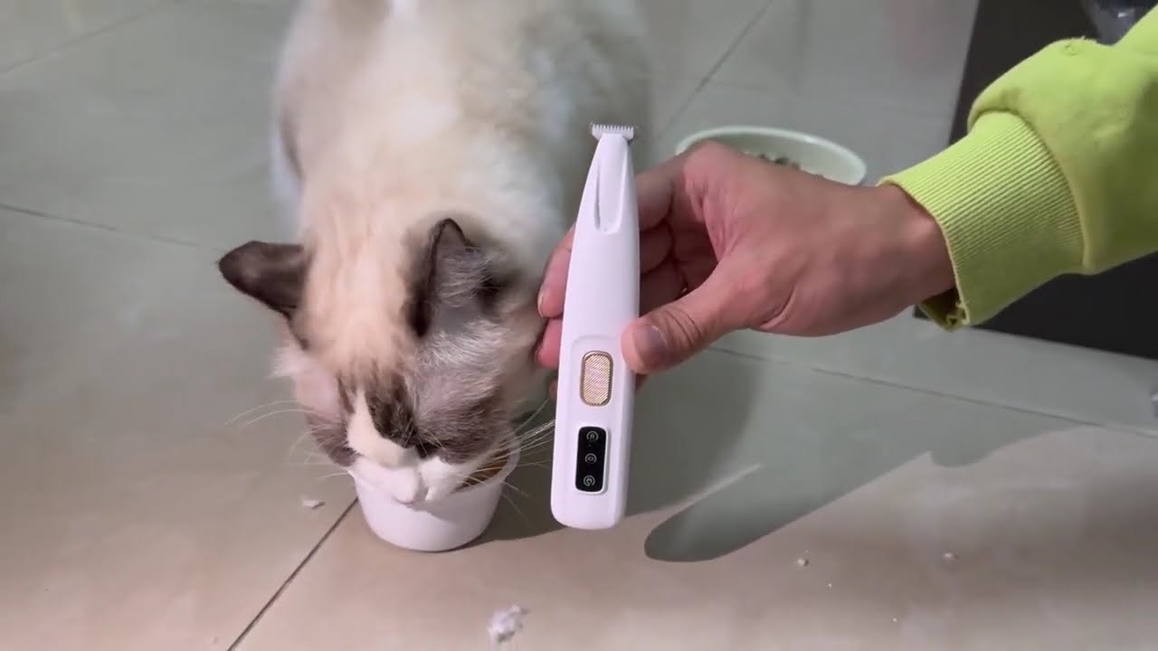 Watch Pet Micro Precision Trimmer