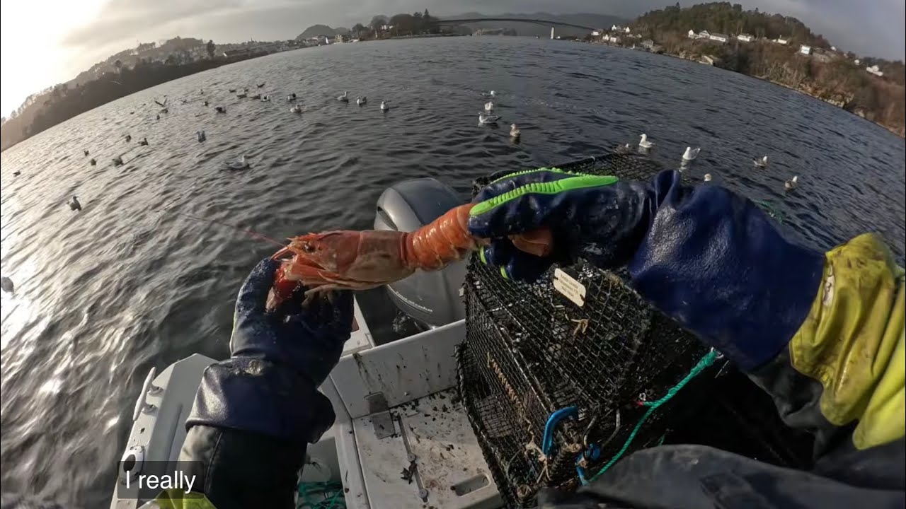 Store kreps i krepseteiner uten soverom, Farsund 11/3-26. 