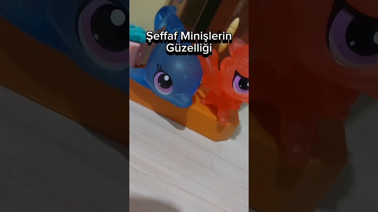 Şeffaf Minişlerin Güzelliği🤤 