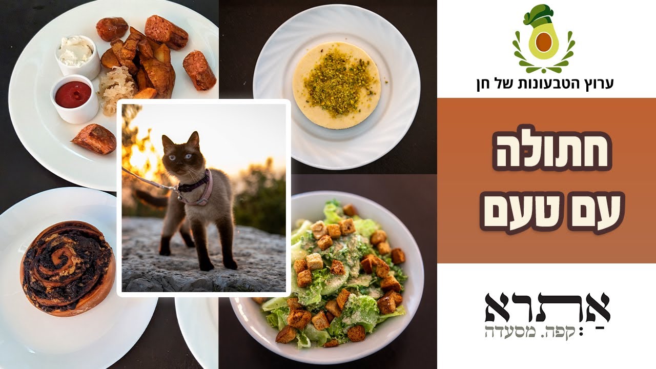ביקורת אוכל עם שפם | אתרא קפה מסעדה באבטליון
