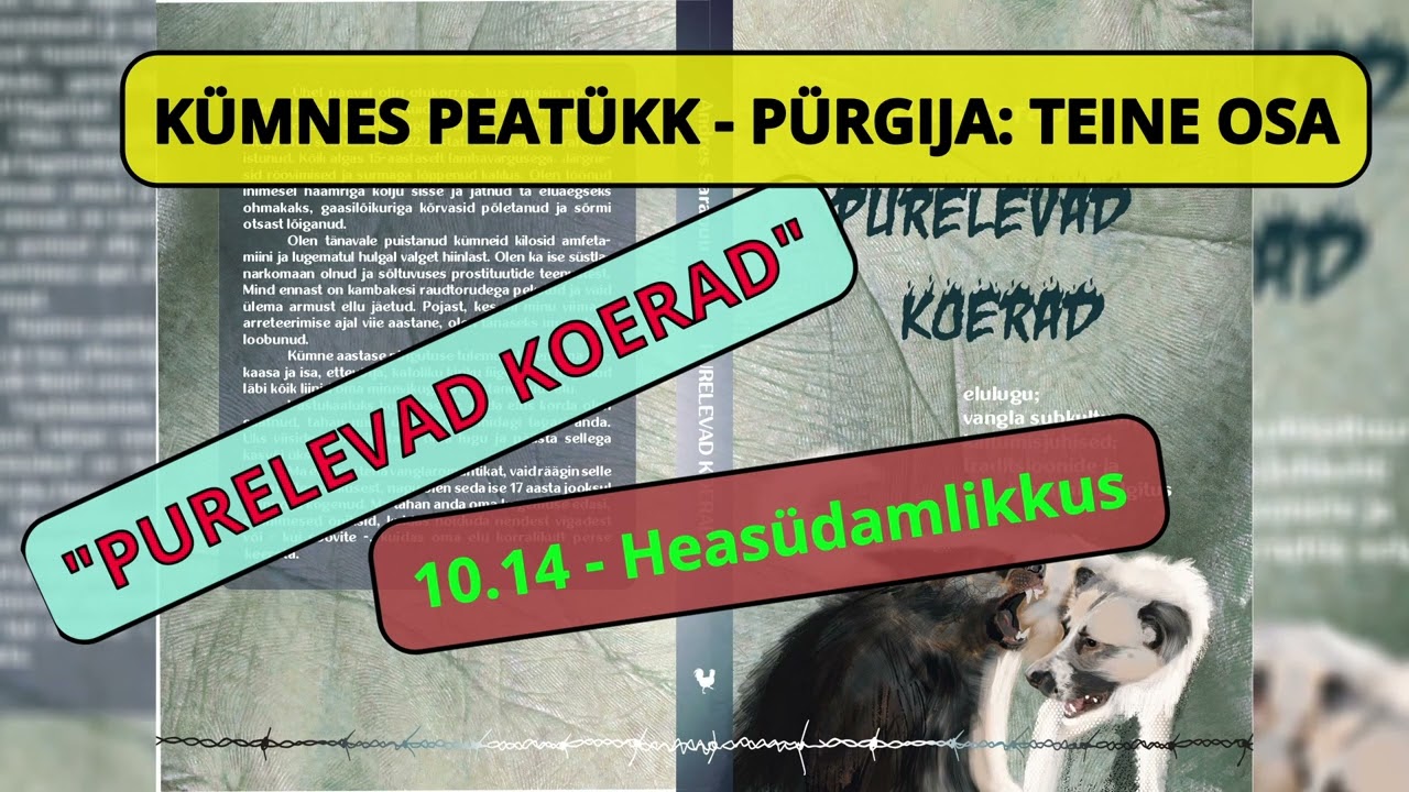 10.14 - Heas&uuml;damlikkus - Audioraamat