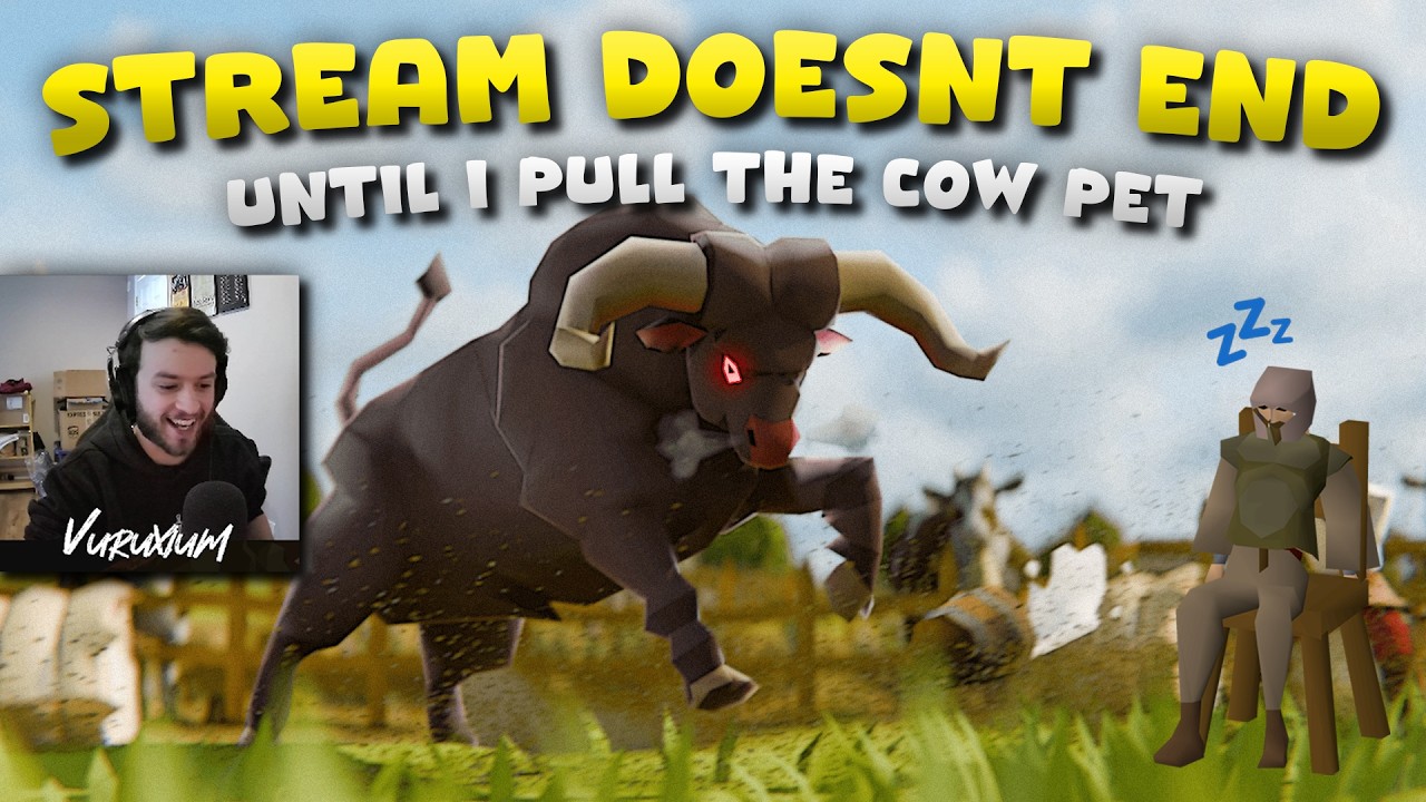Stream doesn't end until I get the cow pet