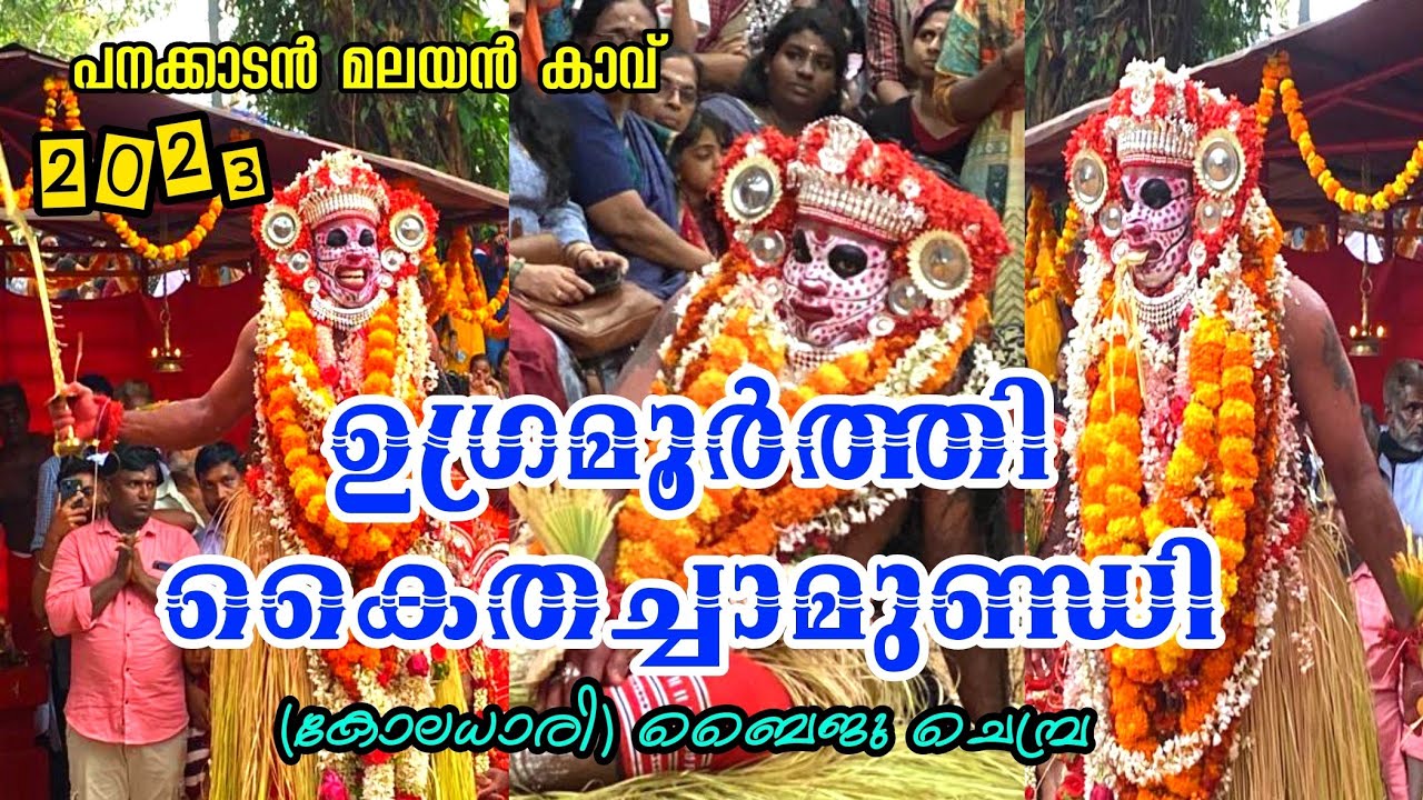 ഉഗ്രമൂർത്തി കൈതച്ചാമുണ്ഡി തെയ്യം പനക്കാടൻ മലയൻ കാവ് കോലാധാരി ബൈജു ചെമ്പ്ര #theyyam #kannur ♨️♨️