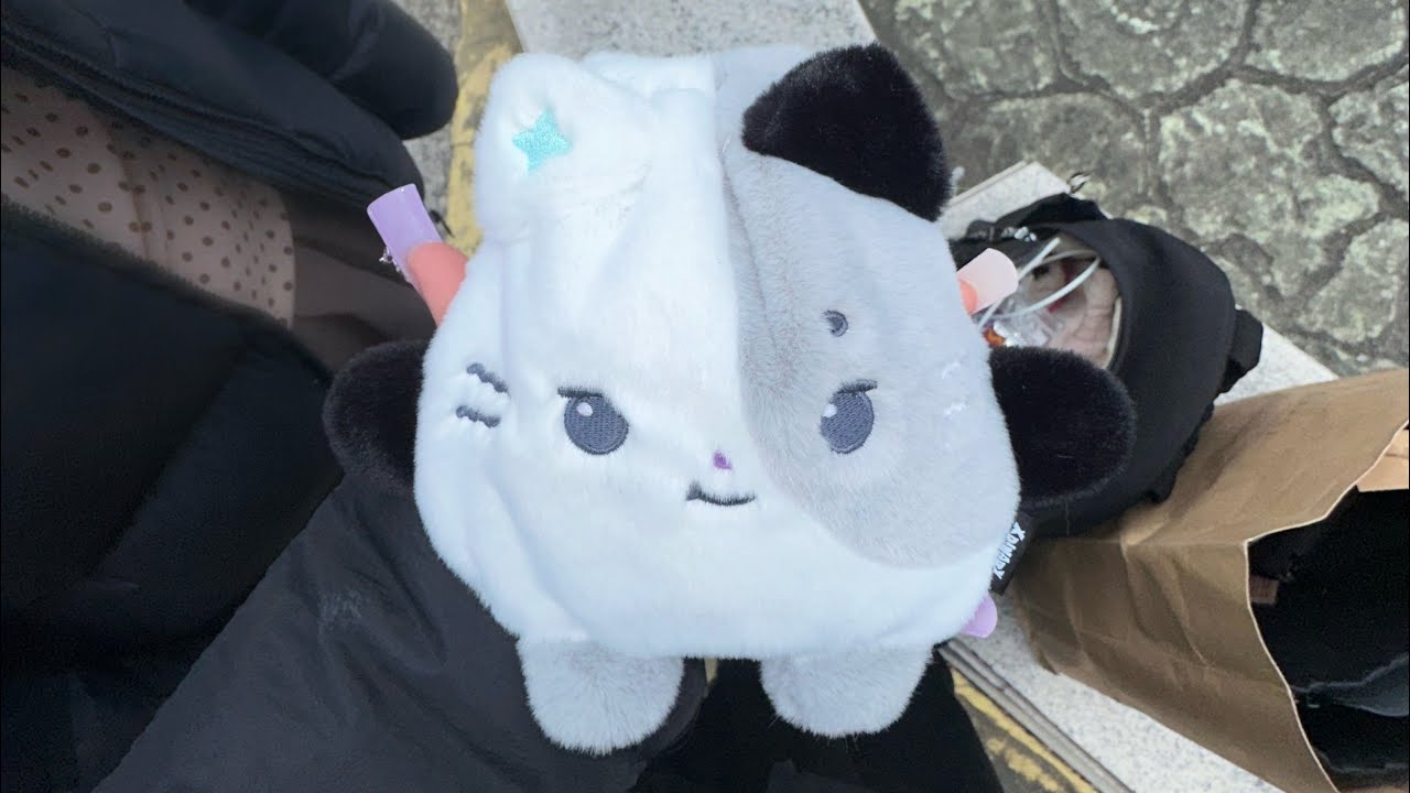 [빌런즈 브이로그] 엑디즈 2기 팬미팅 올출 브이로그/고려대학교 화정체육관/마라탕/순대곱창/엽떡/요거트월드/걸스나잇/눈물흘림