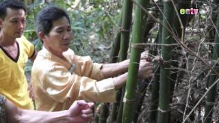 eetv 香港武林 - 嘉賓：江西竹林寺螳螂派刁國昌師傅part1