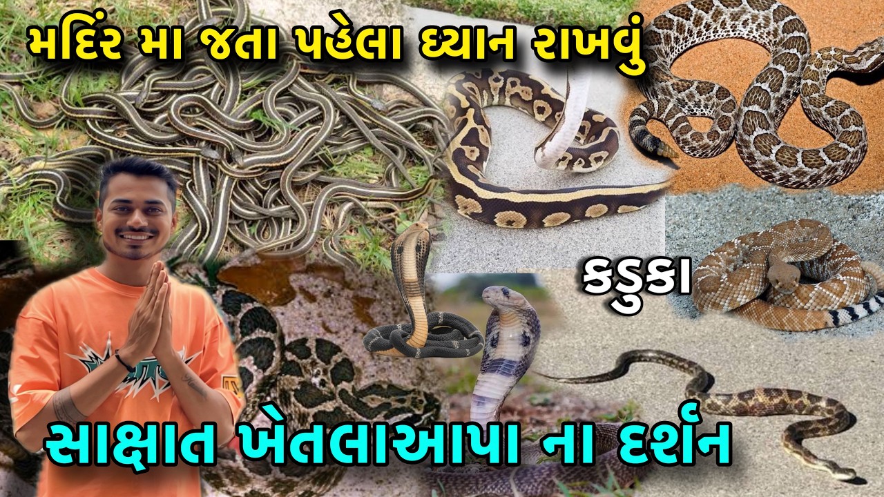 Khetla Aapa Mandir Kaduka | સાક્ષાત ખેતલા ના દર્શન કડુકા | Kaduka | Khetla Aapa History | Kaduka