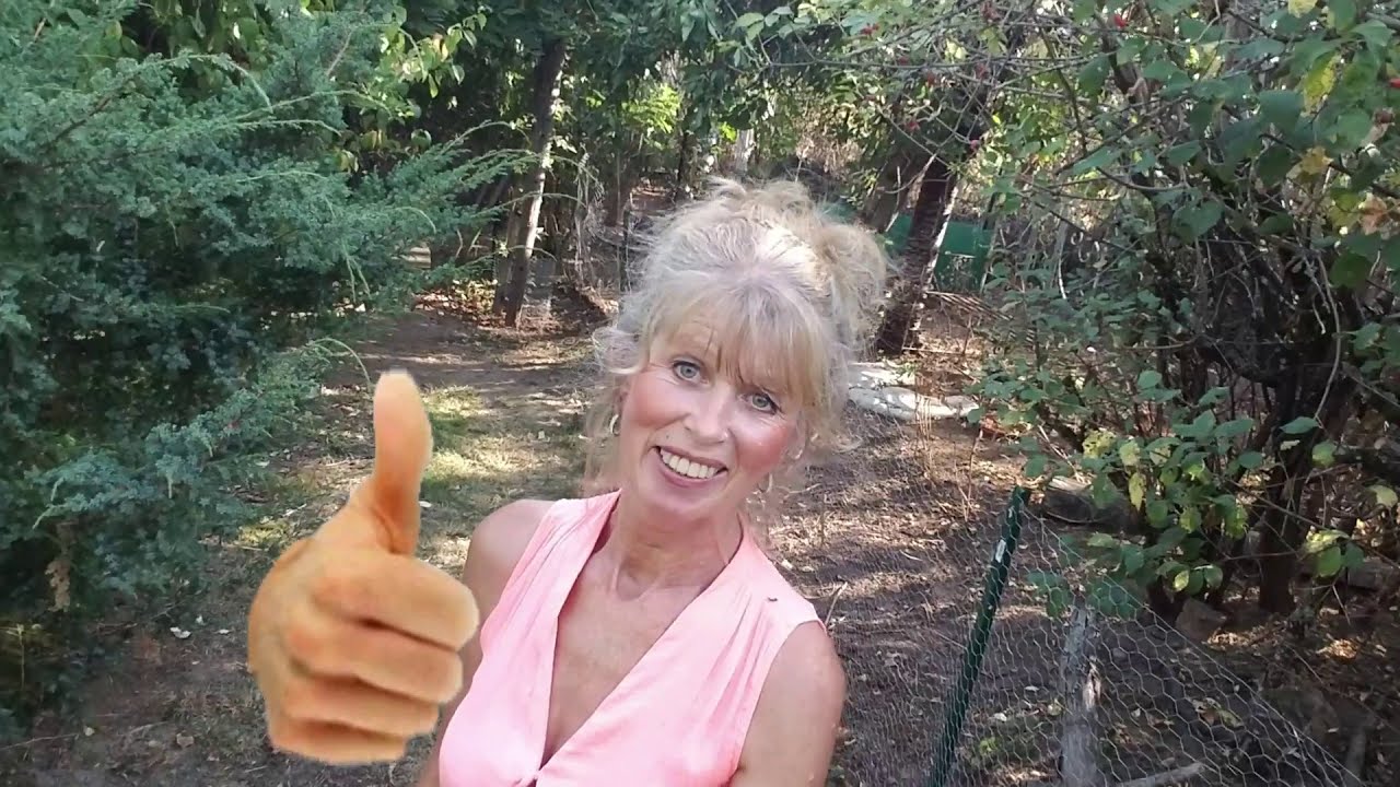 B4 - Garten-Zwerghuhn-Blog / Zwerghuhn, Gehege, Haltung, Stall
